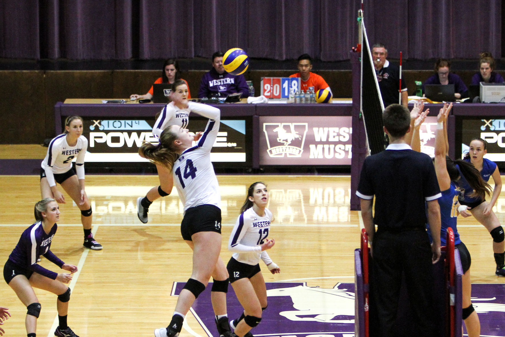 Women's Volleyball vs Lakefield (Image)